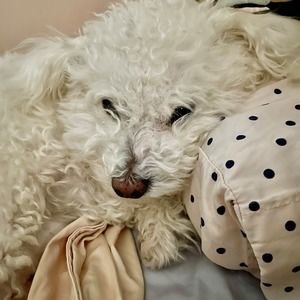 Meet your Posher, Mary